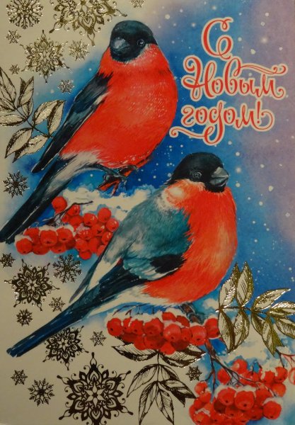 Советские открытки о новом годе Снегирь