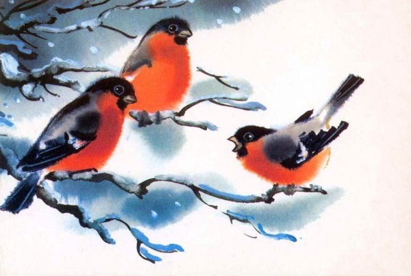 Новогодние открытки со снегирями