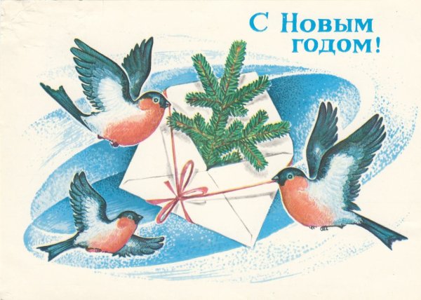 Новогодние открытки с птичками