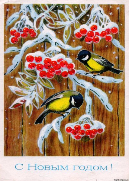 С новым годом Снегири