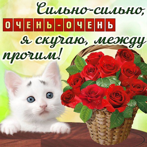 Открытка скучаю