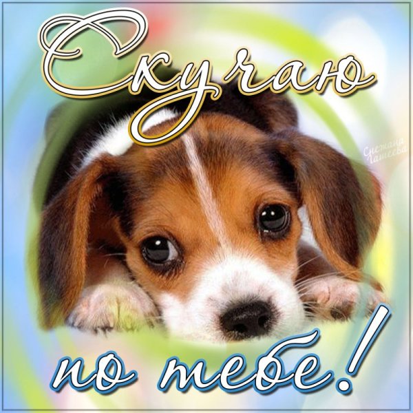 Скучаю картинки