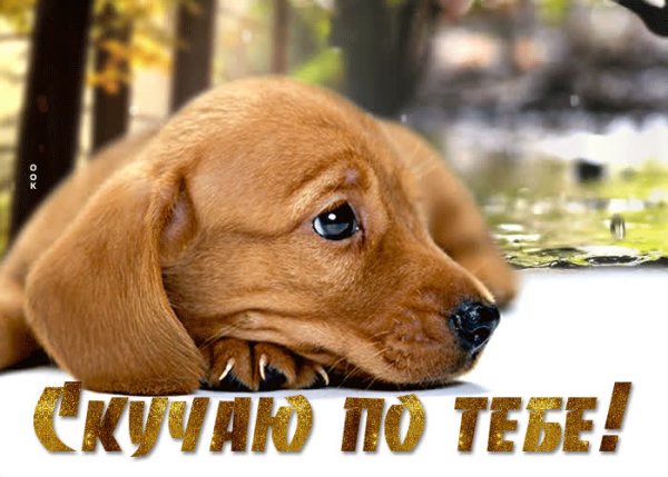 Скучаю фото