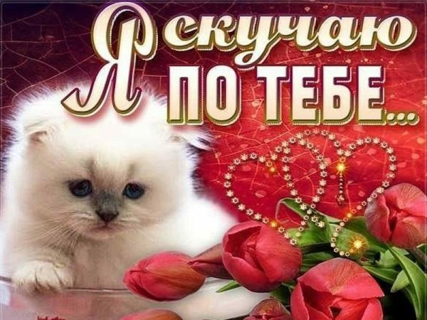 Открытки очень скучаю по тебе