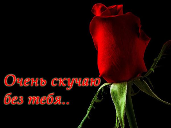 Скучаю без тебя