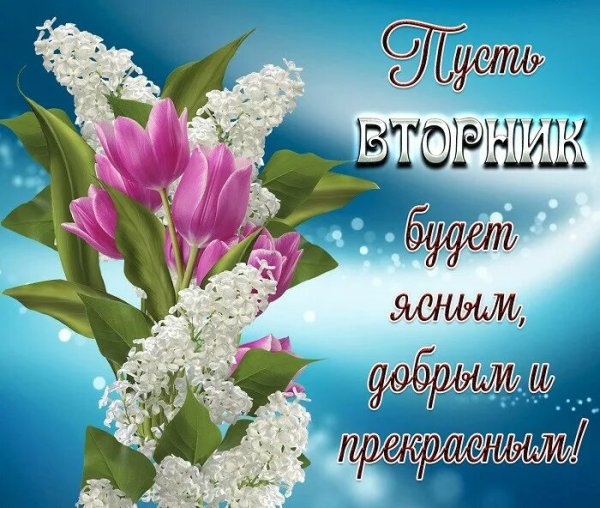 Поздравления с днём вторника