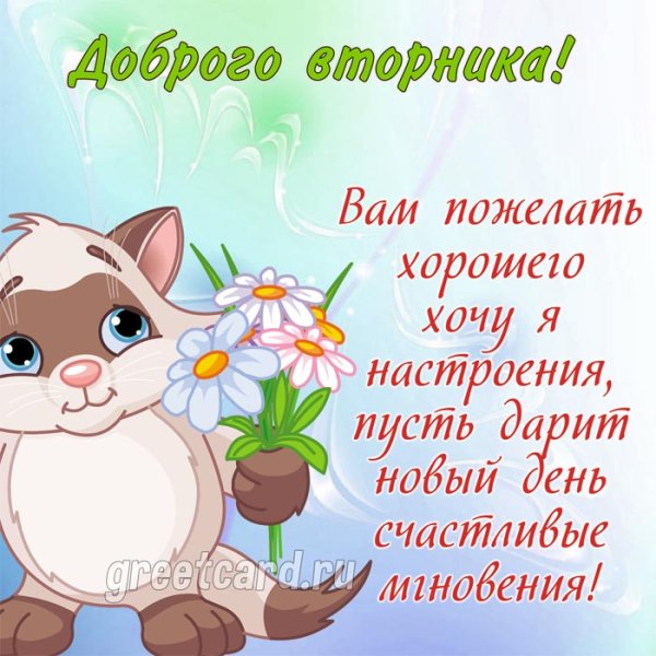Пожелание доброго вторника