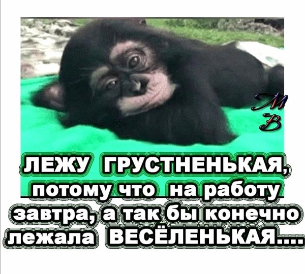 Завтра на работу после отпуска