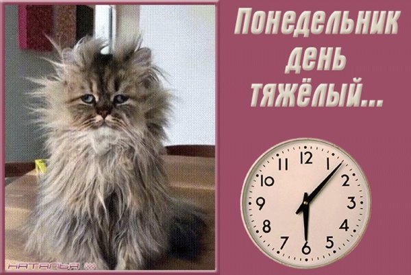 Понедельник день тяжелый
