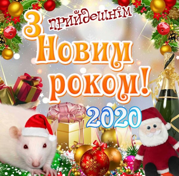 З новим роком