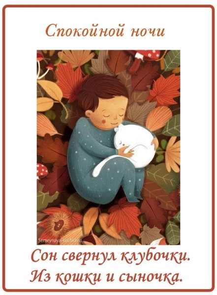 Пожеланияпойкокйной ночи