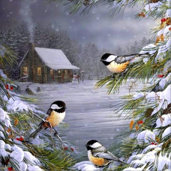 Открытки зима