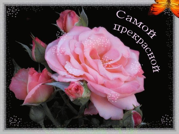 Самая прекрасная открытка