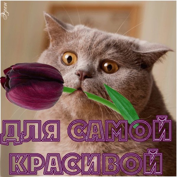 Ты самая красивая!