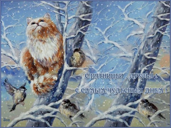 Доброго зимнего дня прикольные