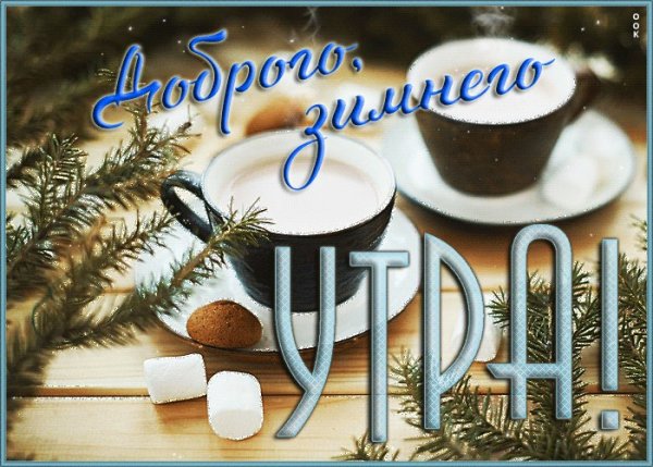 Доброго зимнего утра с птичками