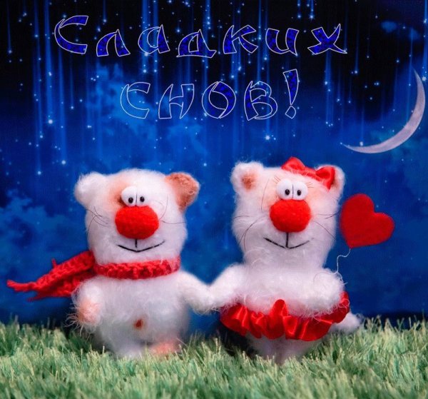 Сказочных снов любимый