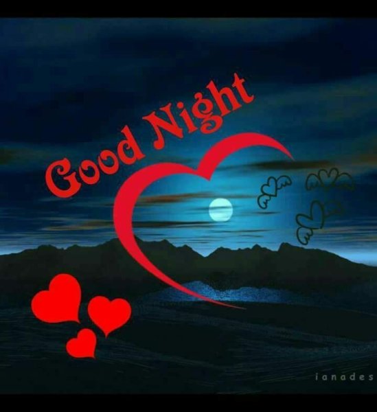 Спокойной ночи сладких снов целую