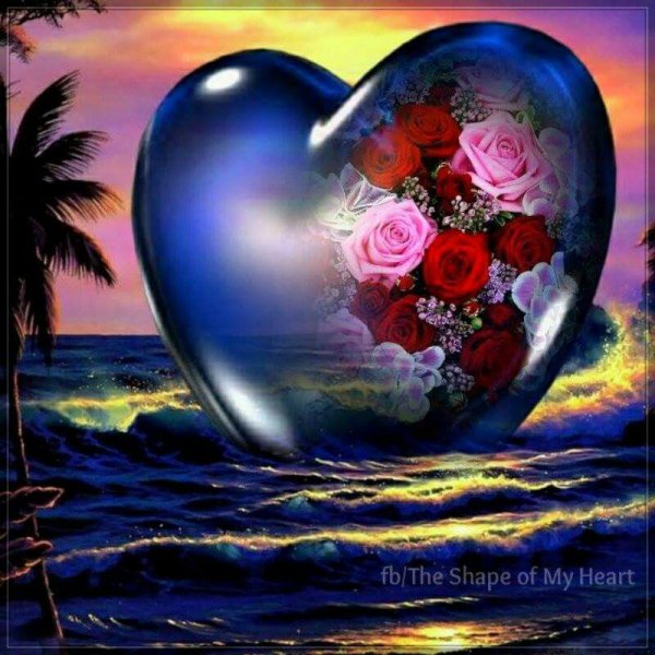 Спокойной ночи любимая