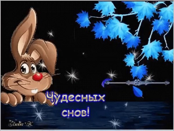 Доброй ночи семья