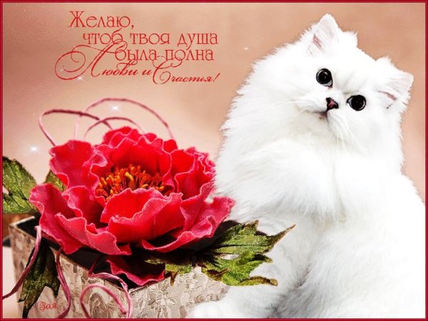 Хорошему человечку от души