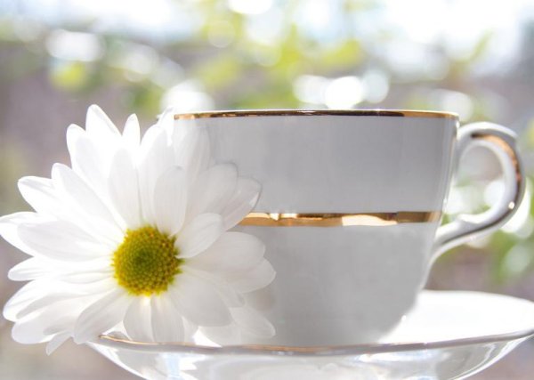 Доброе чудесное утро