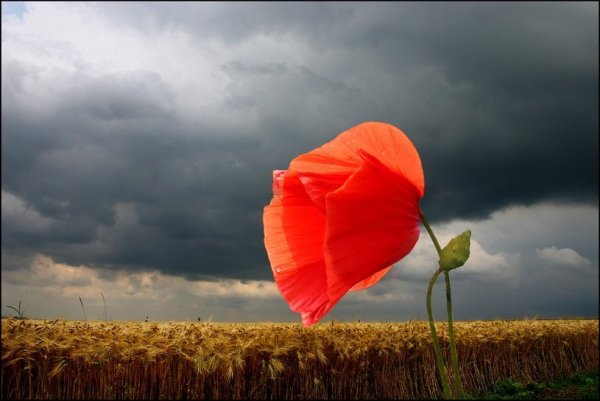 Христианские стихи открытки