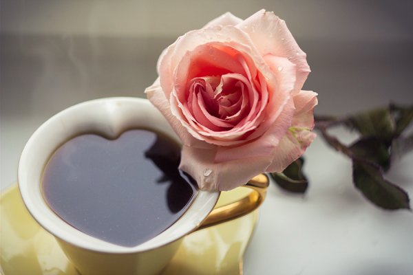 Утренние цветы для любимой