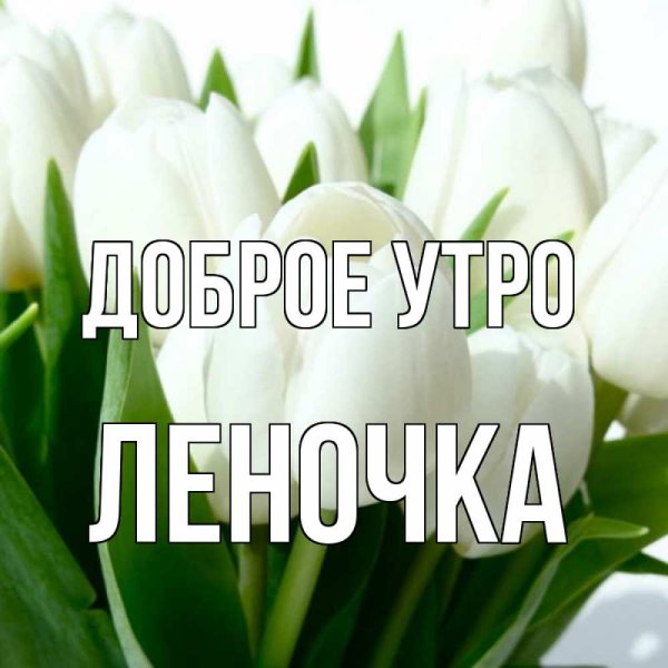 Доброе утро Леночка