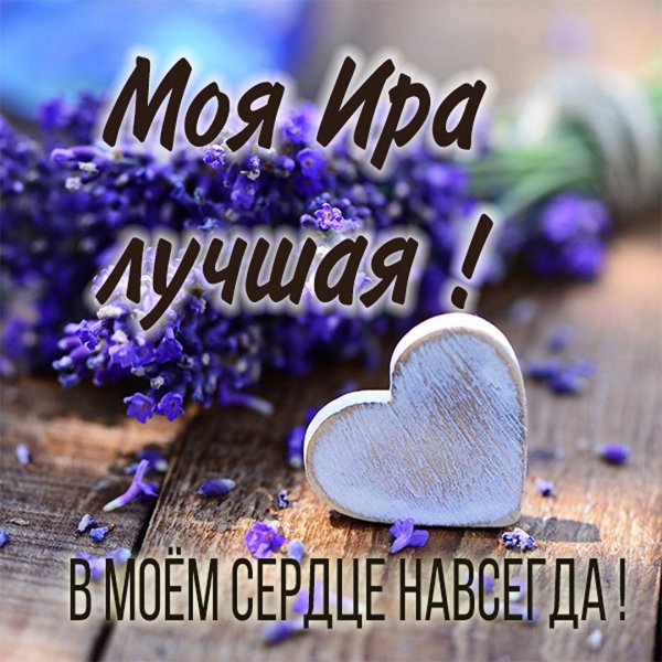 Любимая моя