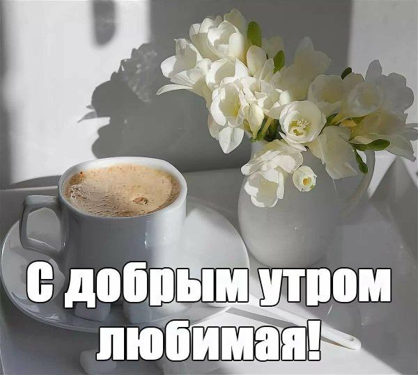 Доброе утро солнышко моё любимое мужчине
