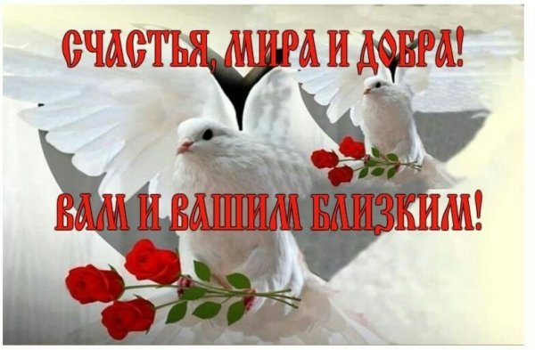 Мира и добра вашей семье
