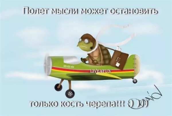 Пожелание легкого полета на самолете