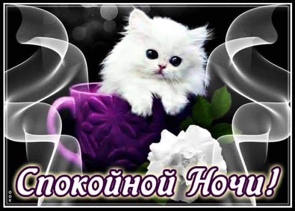 Спокойной ночи