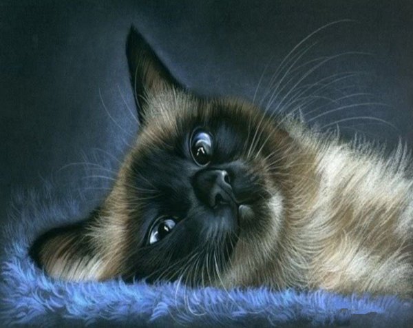 Открытки спокойной ночи с котятами