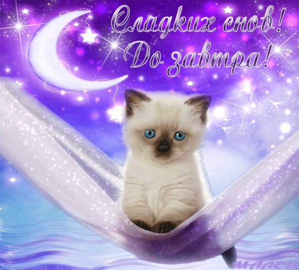 Спокойной ночи доченька