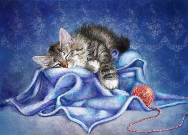 Котенок. Спокойной ночи!