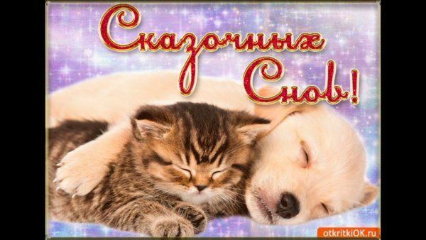 Спокойной ночи сладких снов