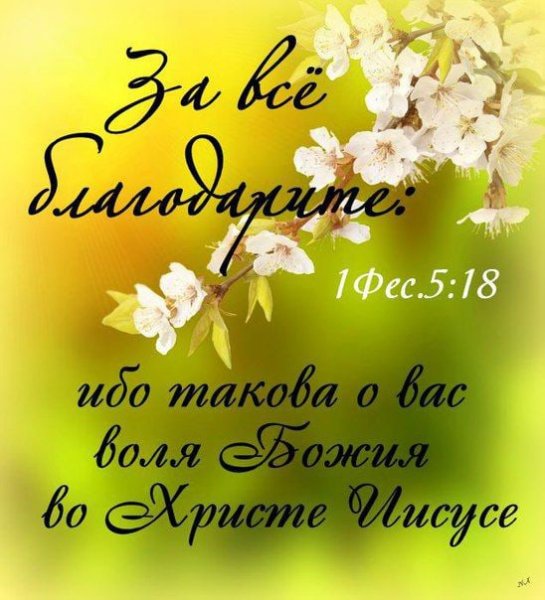 Христианские цитаты из Библии на каждый день