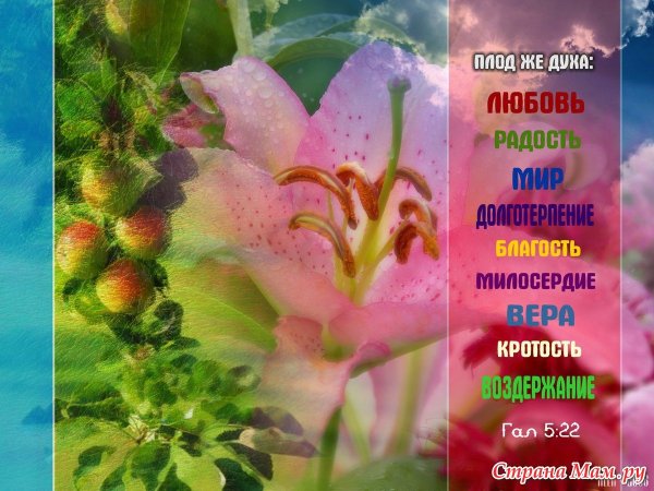 Стихи из Библии для детей