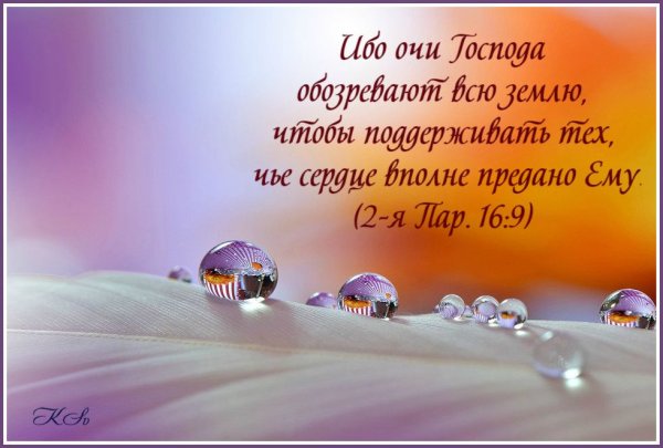 Цитаты из Библии