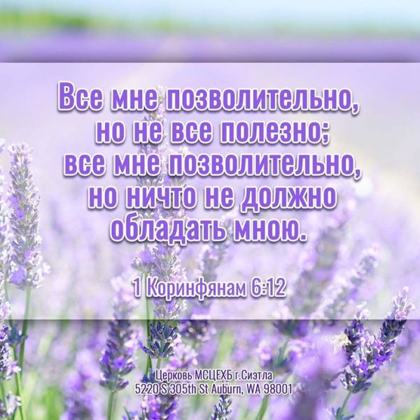 Стихи из Библии