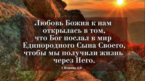 Цитаты их Библии о жизни