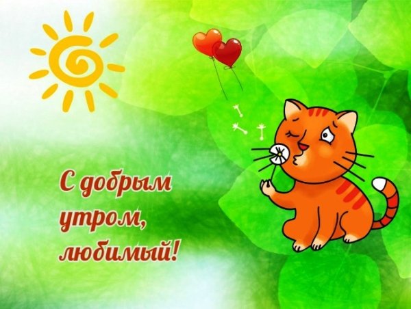 Доброе утро любимый хорошего дня