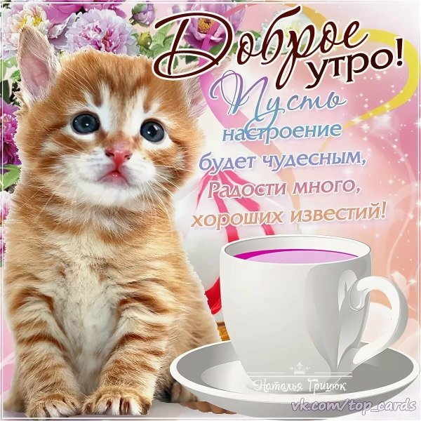 Пожелания с добрым утром девушке