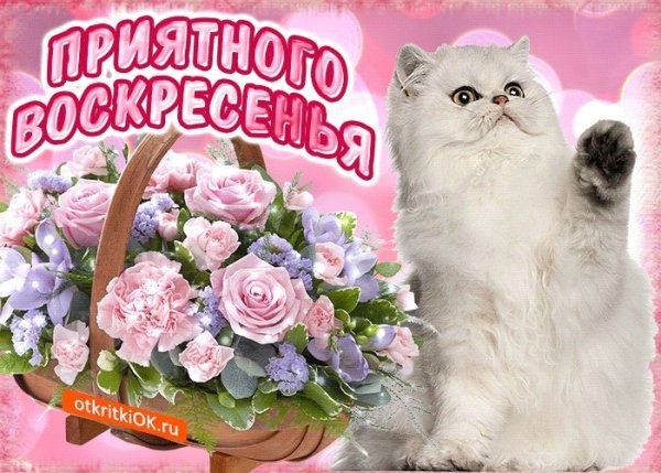 Поздравляю с воскресеньем