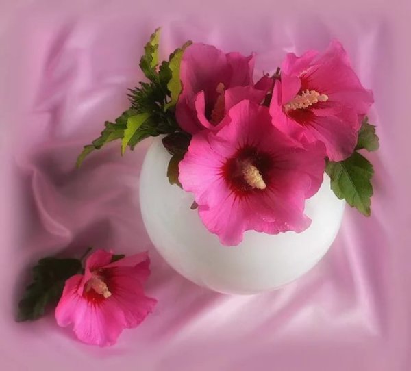 Открытки хорошего воскресенья