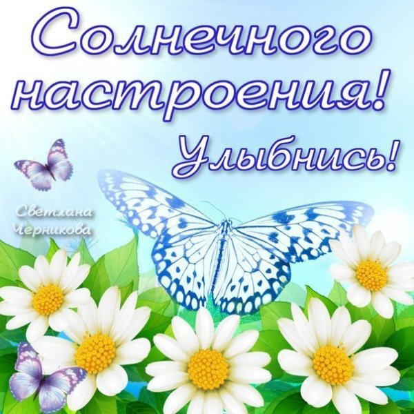 Чудесного воскресенья и отличного настроения