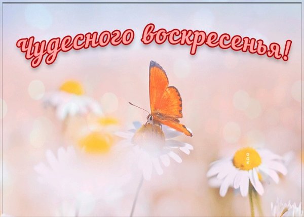 Открытки прекрасного воскресенья
