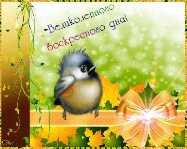 Воскресного дня пожелания